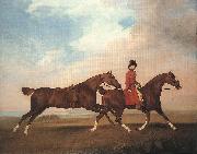 STUBBS, George William Anderson with Two Saddle-horses er painting